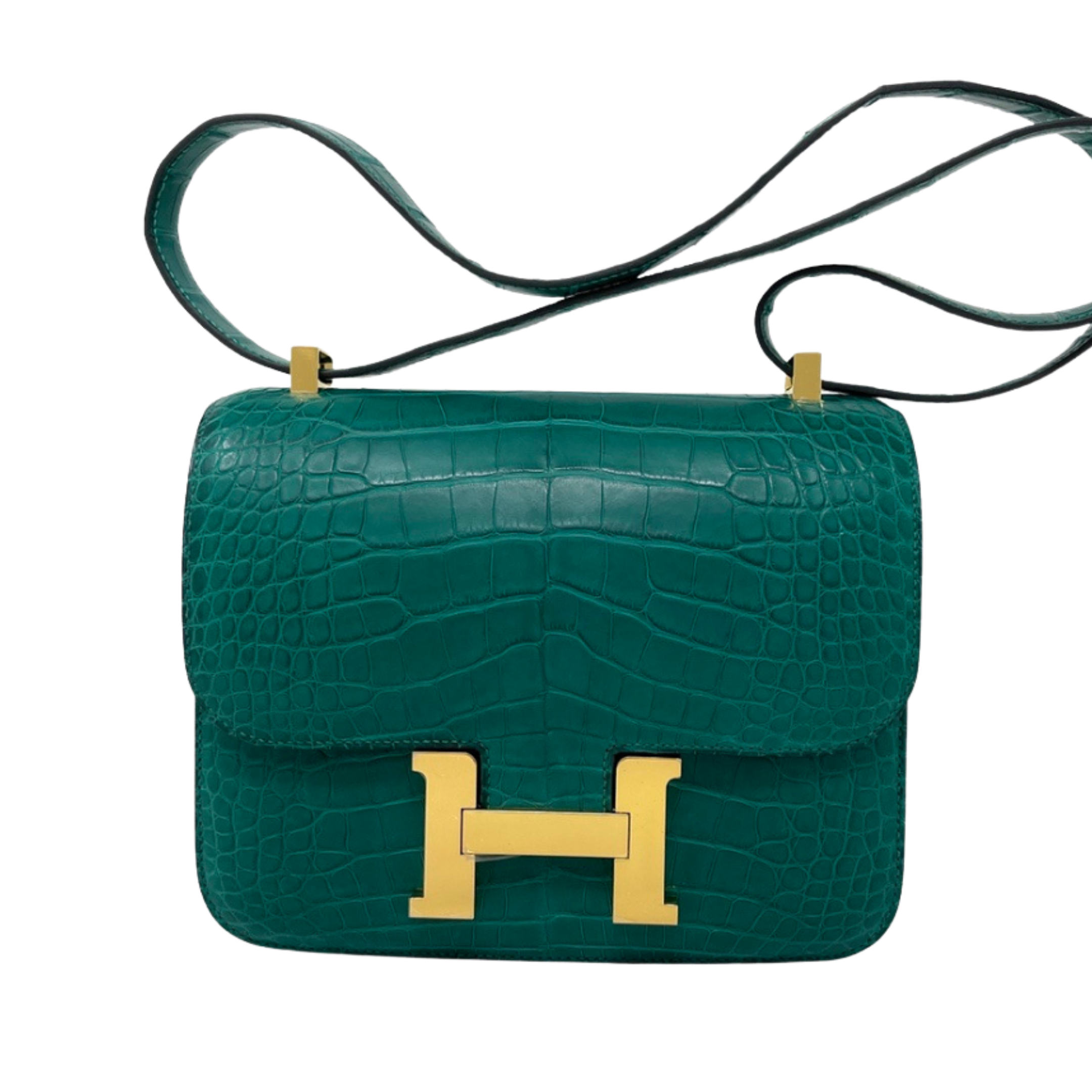 Hermes Constance Bag Alligator Leather Palladium Hardware In Green