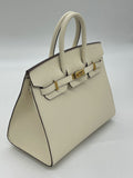 Birkin 25 Epsom Nata Gold Hardware