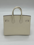 Birkin 25 Epsom Nata Gold Hardware