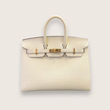 Birkin 25 Epsom Nata Gold Hardware