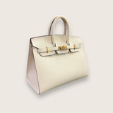 Birkin 25 Epsom Nata Gold Hardware