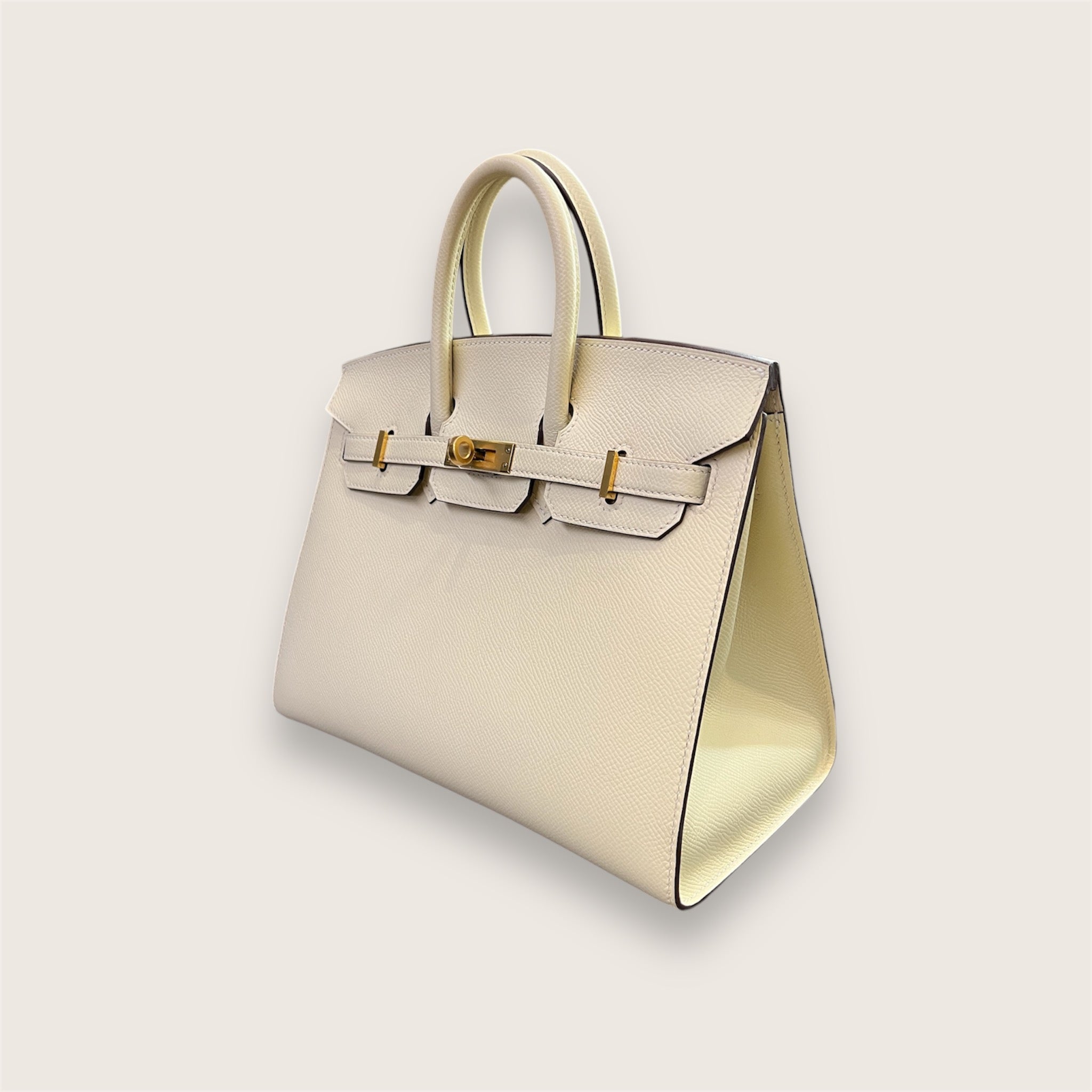 Birkin 25 Epsom Nata Gold Hardware